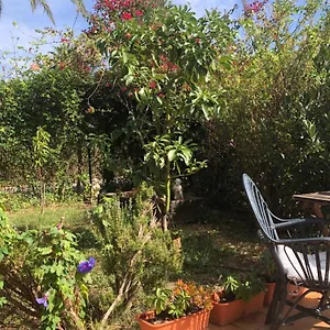  Сasa de vacaciones Ellies Hus España