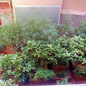  Apartamento Piso Acogedor España